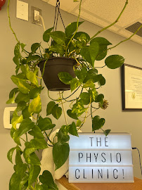 Pulse Physio & Performance