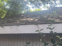 AllPro Association Management