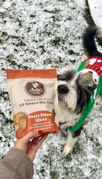 Pet Supplies Plus Valley Stream