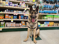 Pet Supplies Plus Manhasset