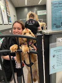 Pet Supplies Plus Smithtown