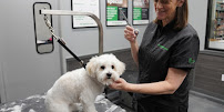 Pet Supplies Plus Smithtown