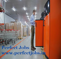 Perfect Jobs- best Jobs consultancy in Delhi,Jobs in delhi-Ncr, jobs in India ,Pan india.