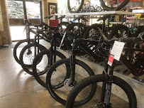 Trek Bicycle Store Aurora