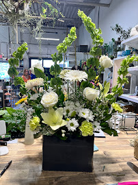 Aurora Greenhouse