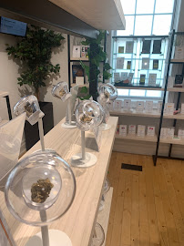 Alpha Cannabis