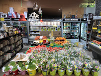 Shina Grocery Fine Food