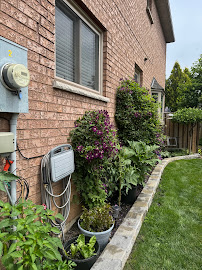 Lace & Envy-Women's Clothing Boutique