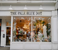 The Pale Blue Dot