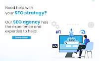 SEO Services Delhi