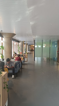 Tzar Venture | Digital Marketing Agency