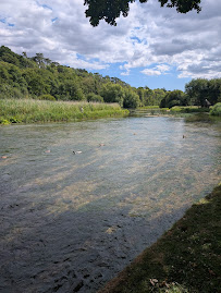 The Mayfly, Stockbridge