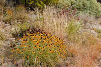 Common Ground Landscapes