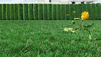 Green Drop Lawns Ltd.