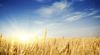 Prairie View Physiotherapy