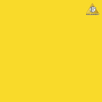 Illucus | Creative Marketing Agency