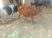 Texcoms Worldwide - India Representative