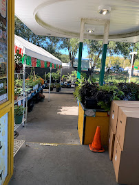 Tampa Bay Farmers Market