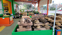 Tampa Bay Farmers Market