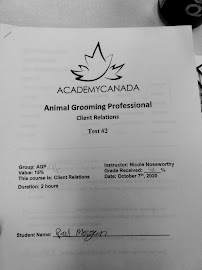 Academy Canada