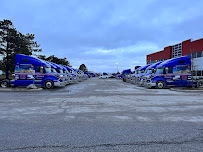 Zebra Movers Markham