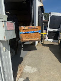 A & E Logistics LLC