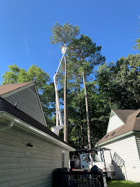 Clean Cuts Tree Service LLC