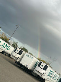 Midland Transport Limited