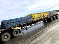 Bison Transport