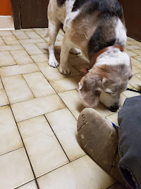 VCA Boone Animal Hospital