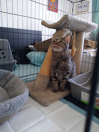 VCA Boone Animal Hospital