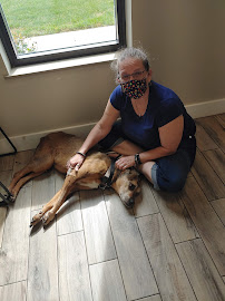 Harvester Veterinary Hospital of Burr Ridge