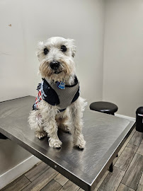 Harvester Veterinary Hospital of Burr Ridge