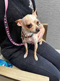 Southwest Animal Care Center