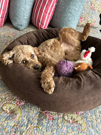 Southwest Animal Care Center