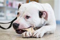 Palos Animal Hospital