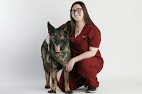 Palos Animal Hospital