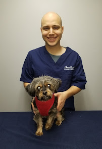 VCA Worth Animal Hospital