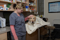 Vetco Vaccination Clinic