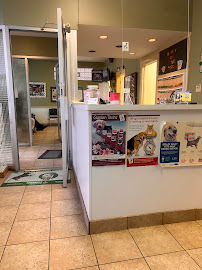 All Creatures Great & Small Veterinary Practice