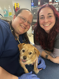 Village Veterinary Practice