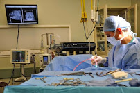 Village Veterinary Practice