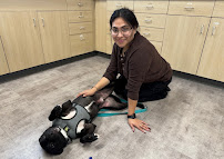 Animal Medical Clinic of Wheaton