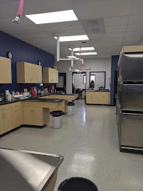 VIP Petcare Vaccination Clinic