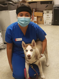 Care Animal Clinic - Urgent & Wellness Care (Open 7 Days)