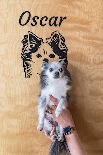 Up Dog Yoga Community