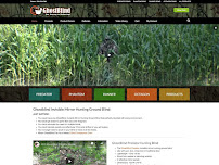 Web Design Mike