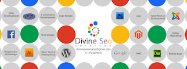 Divine SEO Services- Web Design, Development, SEO Services in Ahmedabad, India