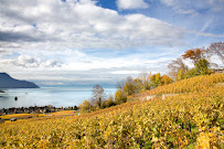 BEAT HEUBERGER Wines & Spices