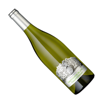 Studio Wino - Natural & Low Intervention Wine Store & Online Shop